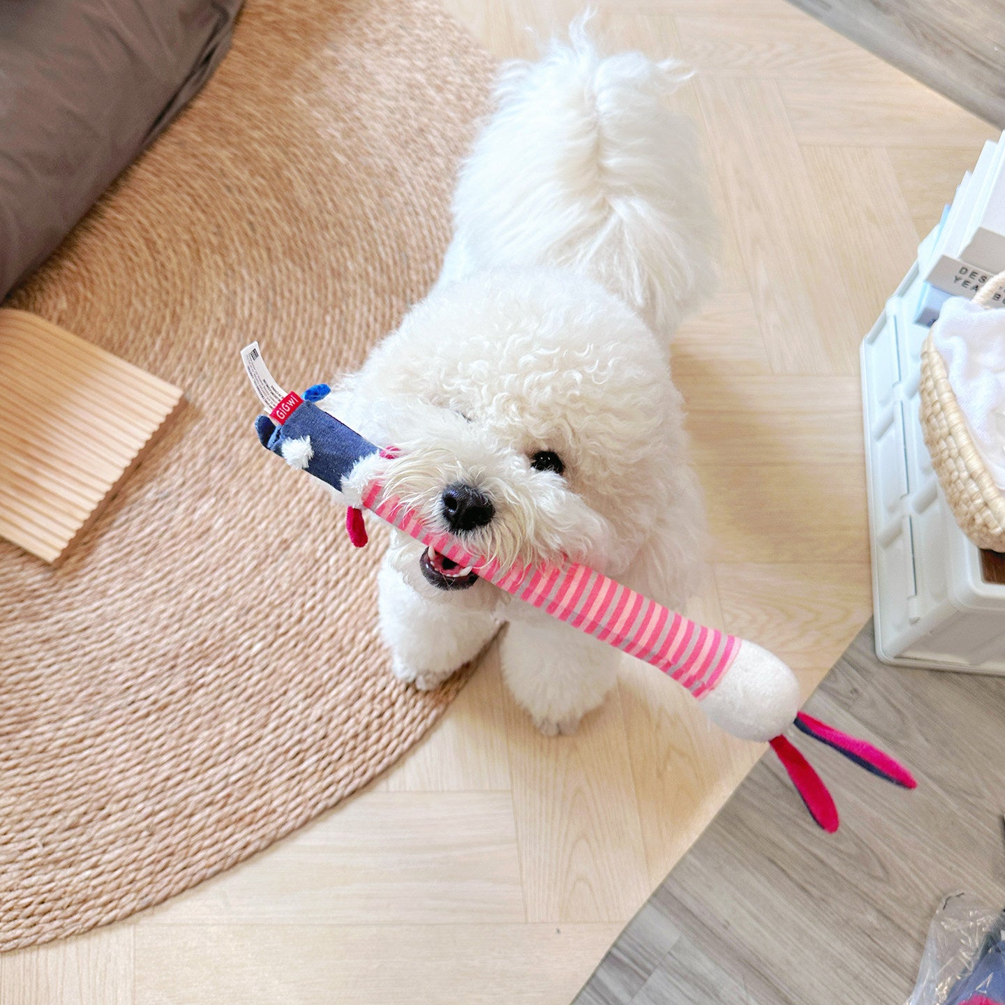 Interactive Dog Chew Toy – Squeaky Durable Toy for Dogs of All Sizes