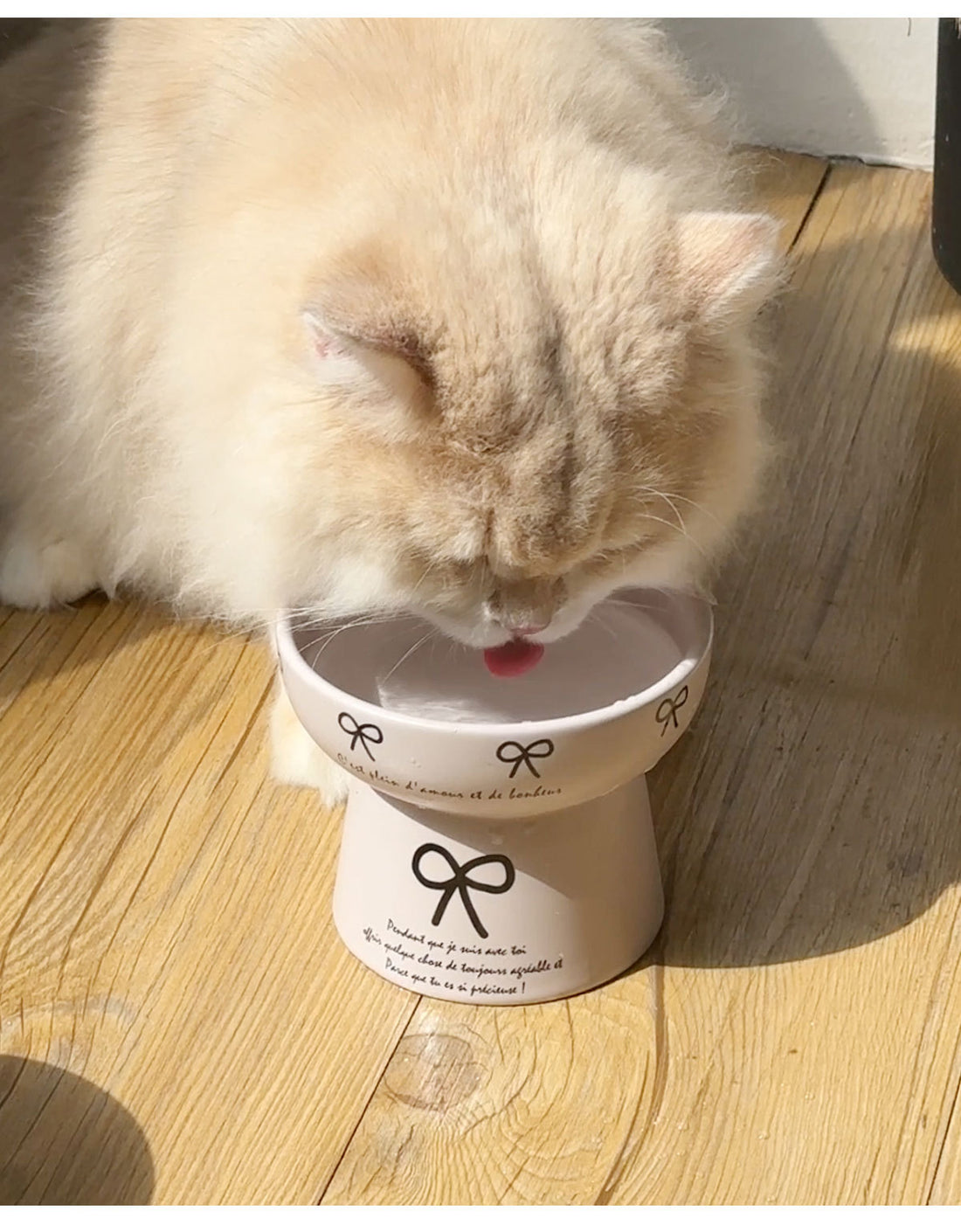 Cute Bow-Decorated Elevated Ceramic Bowl for Pets – Dog and Cat Food Dish