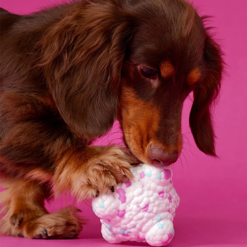Durable Chew Ball Toy for Dogs