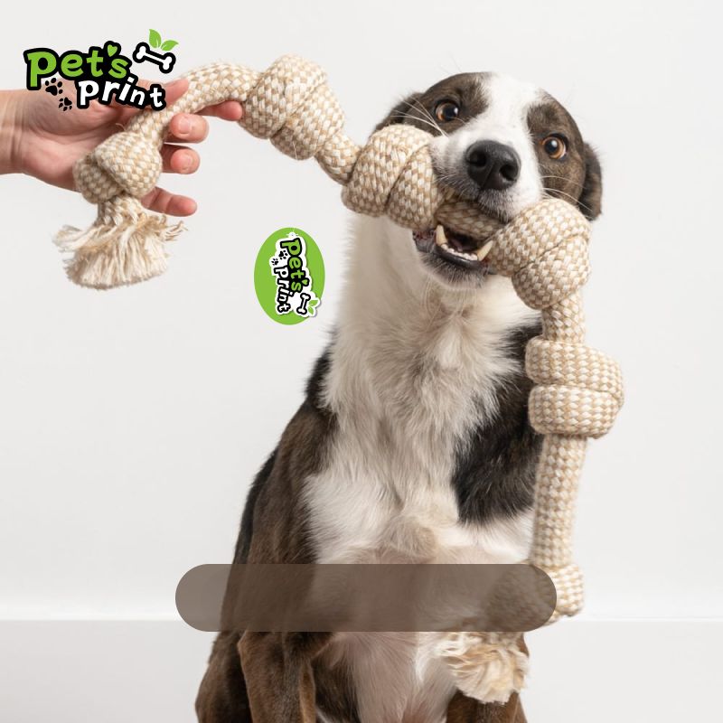 5-Piece Heavy-Duty Cotton Rope Toy Set for Dogs