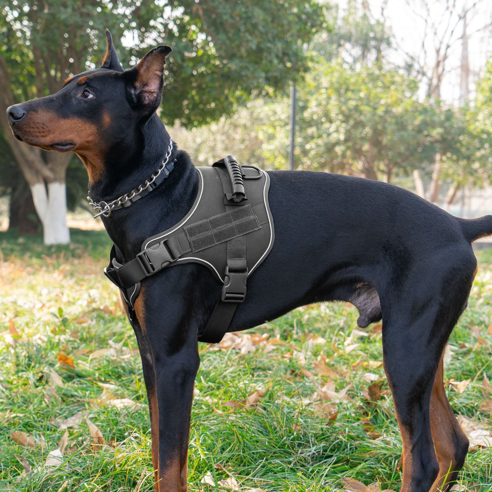 No-Pull Harness for Large Dogs - Escape-Proof Front Clip Design & Mesh Ventilation（Reflective Strips）