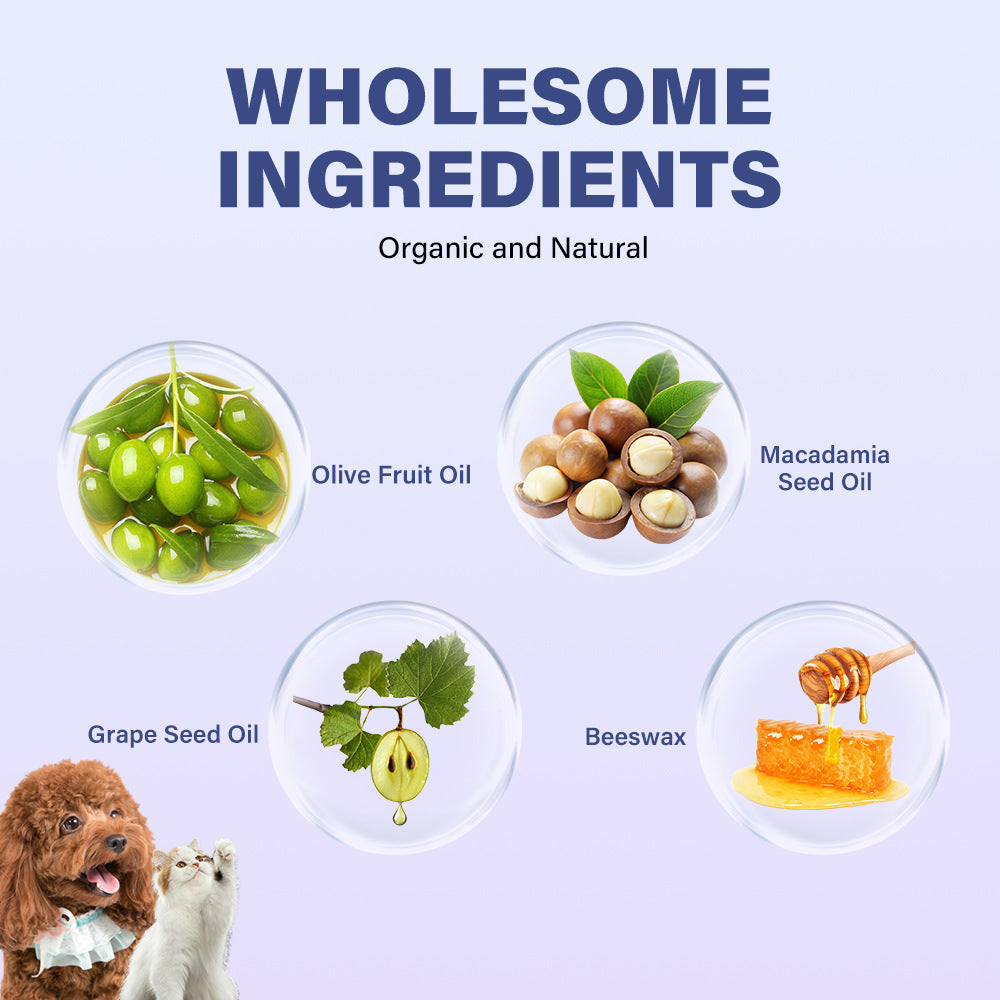 Natural Blueberry & Coconut Oil Pet Paw Balm with Shea Butter – Safe, Soothing Relief for Dry Nose & Paws of Dogs and Cats