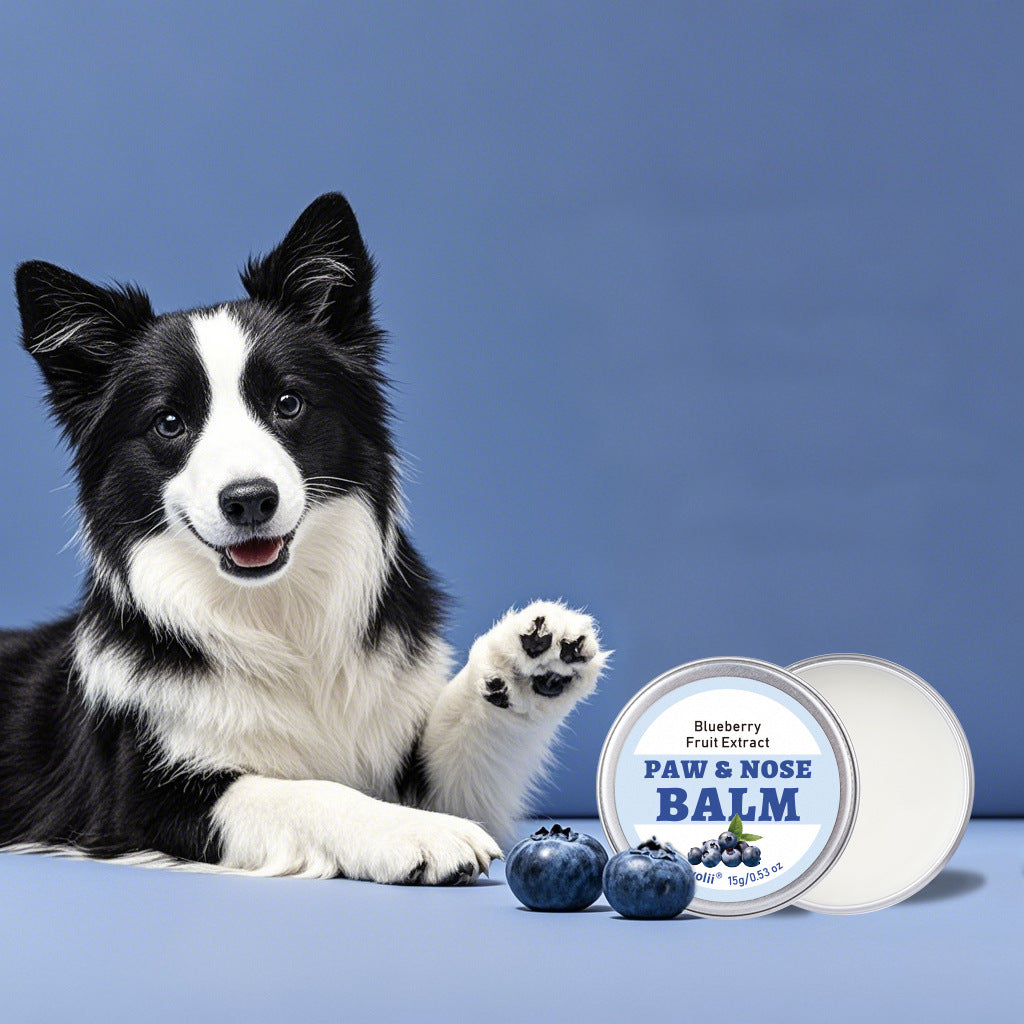 Natural Blueberry & Coconut Oil Pet Paw Balm with Shea Butter – Safe, Soothing Relief for Dry Nose & Paws of Dogs and Cats