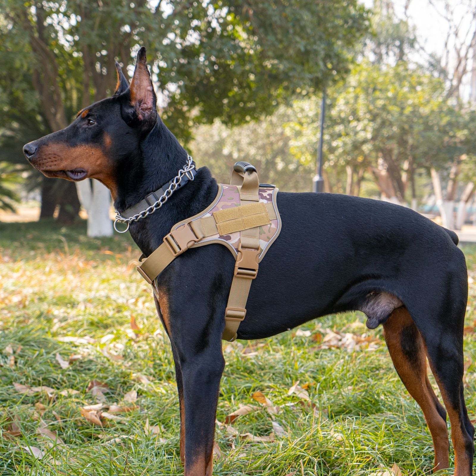 No-Pull Harness for Large Dogs - Escape-Proof Front Clip Design & Mesh Ventilation（Reflective Strips）
