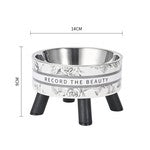 Whisker-Safe Elevated Pet Bowl | Stable Raised Stand & Durable Stainless Steel