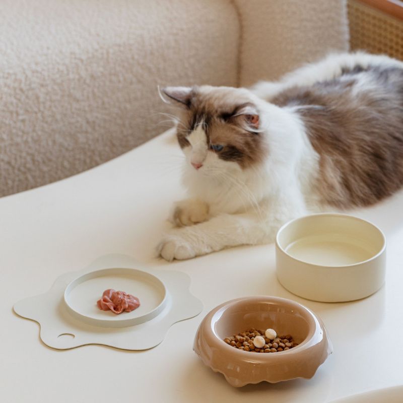 3pcs Detachable 3-in-1 Donut Pet Bowl | Separate Food & Water • Easy-Clean • Non-Slip Base