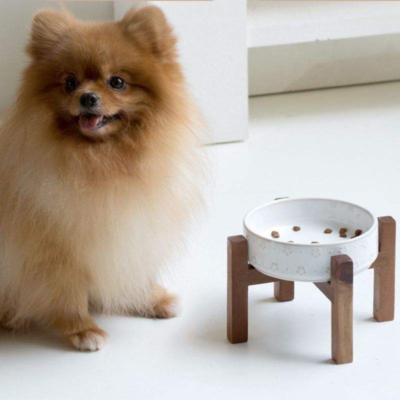Acacia Wood Base Embossed Pet Bowl | Oriental Aesthetic, Friendly for Small & Medium Pets