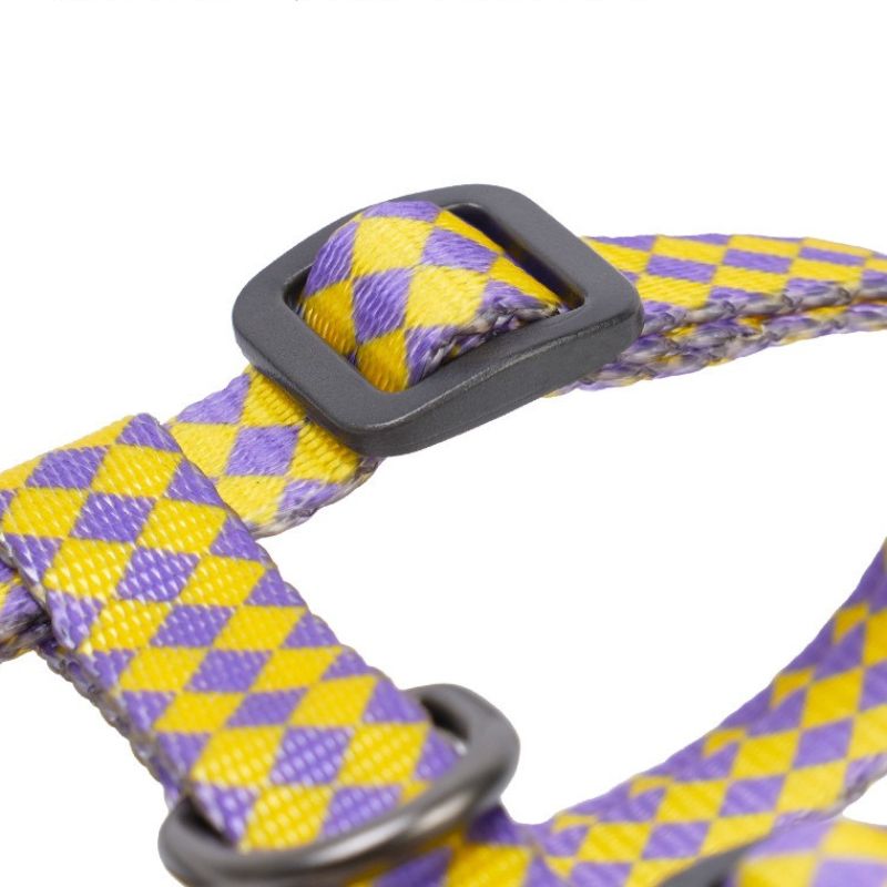 Cat Outdoor Safety Leash – Escape-Proof Adjustable Pet Harness and Leash Set