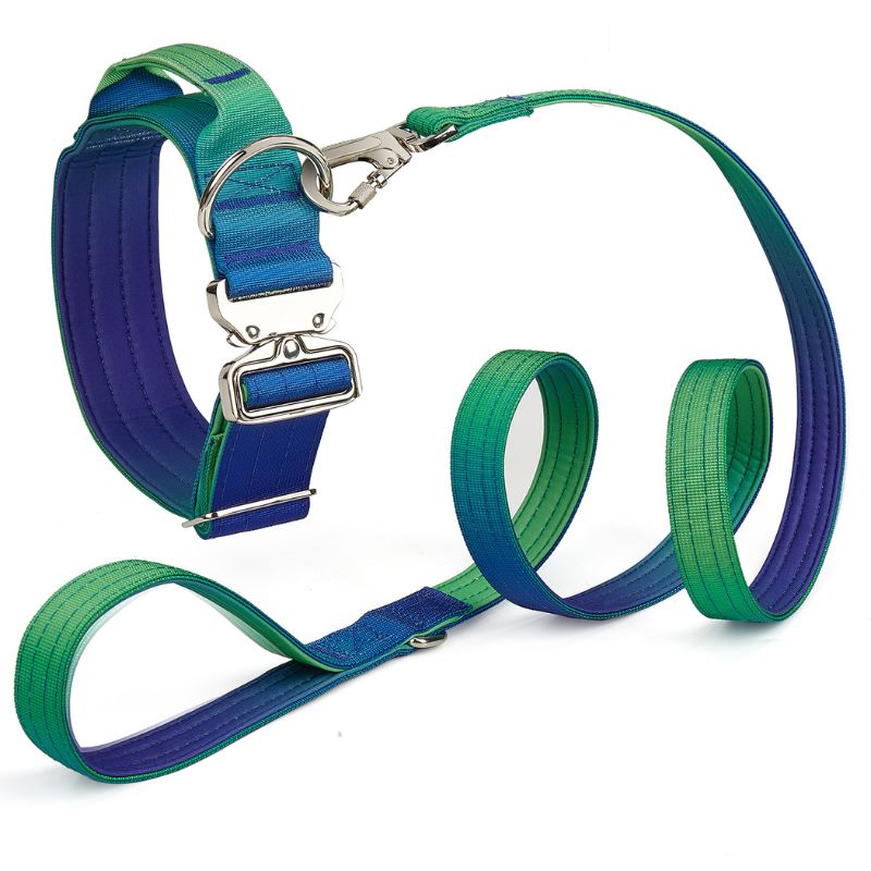 2pcs Premium Gradient Dog Collar Set – Stylish & High-Quality