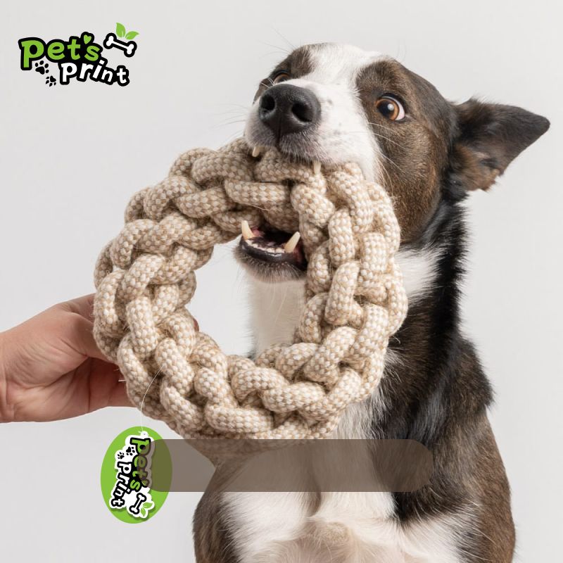 5-Piece Heavy-Duty Cotton Rope Toy Set for Dogs
