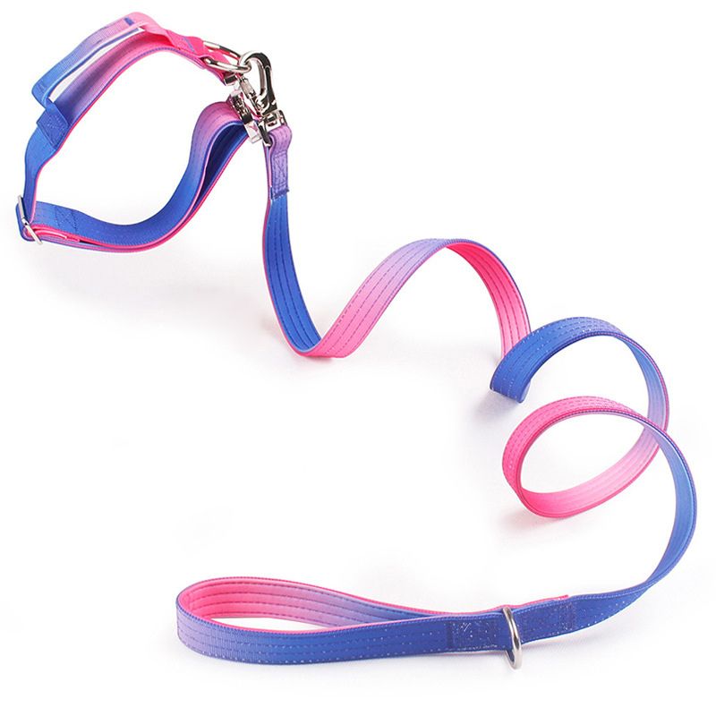 2pcs Premium Gradient Dog Collar Set – Stylish & High-Quality