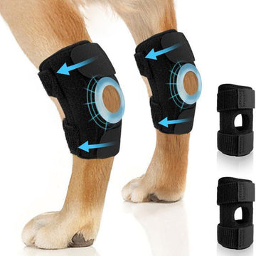 Dog Knee Brace – Post-Surgery Recovery & Rear Leg Support for Sprains