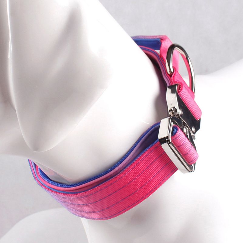 2pcs Premium Gradient Dog Collar Set – Stylish & High-Quality