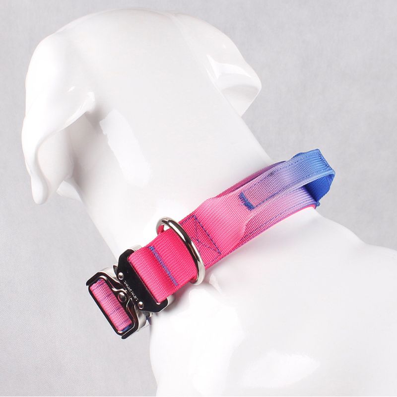 2pcs Premium Gradient Dog Collar Set – Stylish & High-Quality