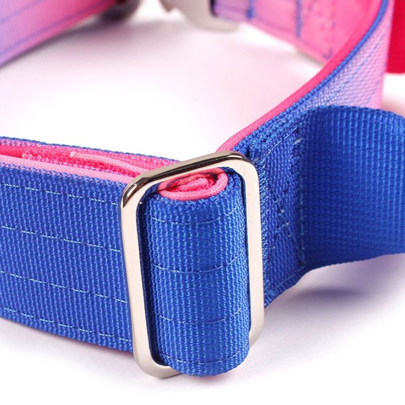 2pcs Premium Gradient Dog Collar Set – Stylish & High-Quality