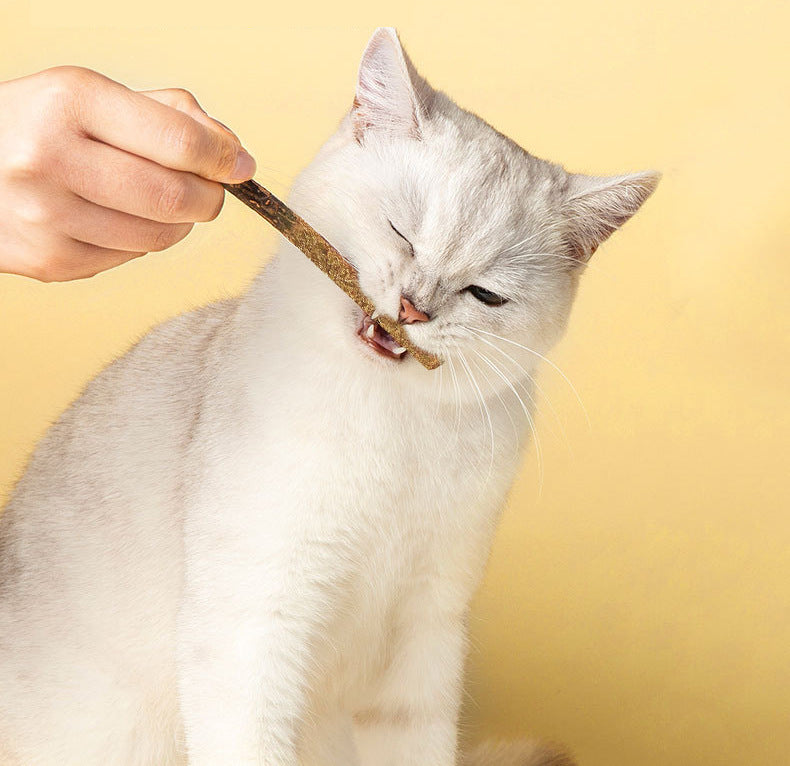 Cat Grass Chew Sticks with Catnip & Matatabi – 6 Pack Dental Chewing Toys for Cats
