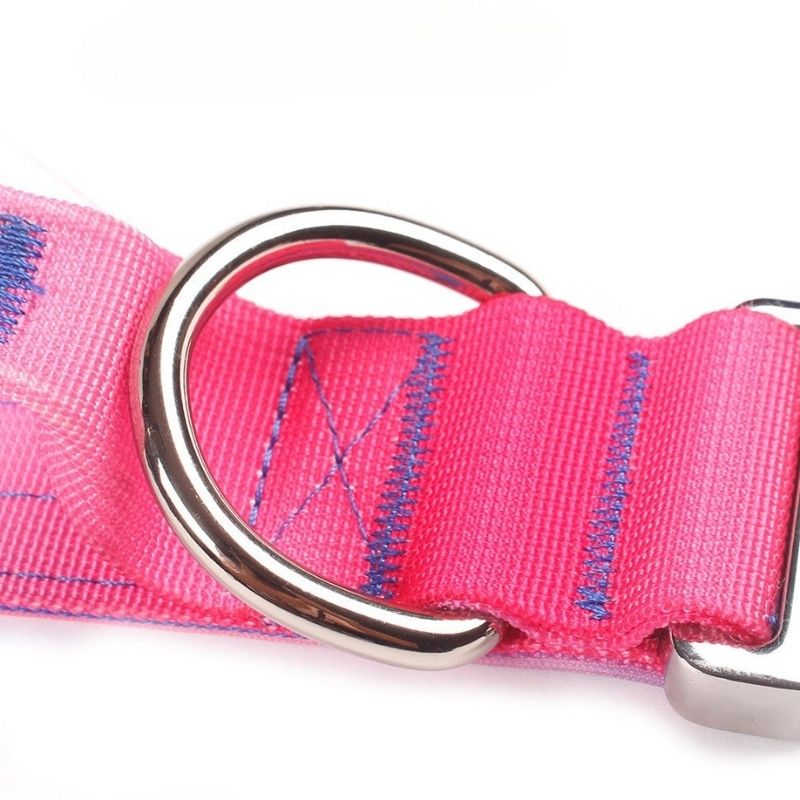 2pcs Premium Gradient Dog Collar Set – Stylish & High-Quality