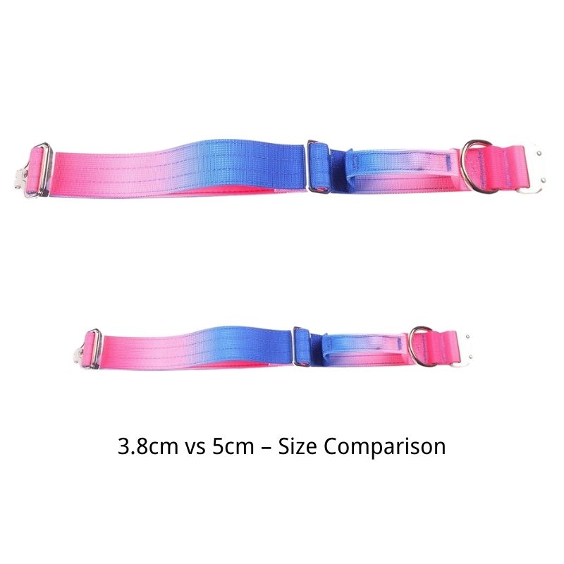 2pcs Premium Gradient Dog Collar Set – Stylish & High-Quality