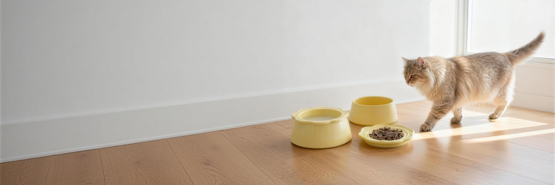 NoKa & AuroraStone – Premium Pet Bowls and Accessories