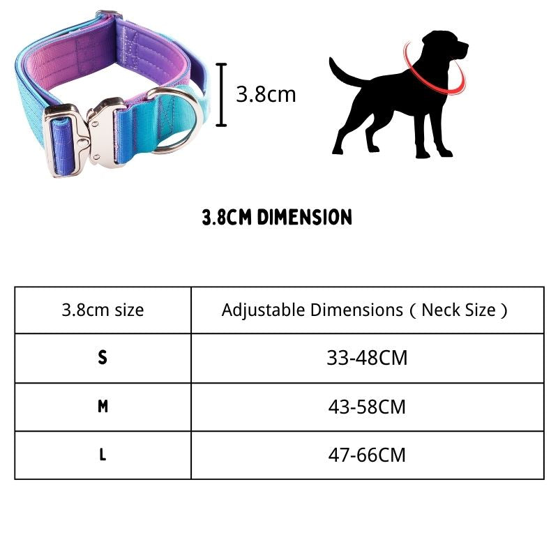 2pcs Premium Gradient Dog Collar Set – Stylish & High-Quality