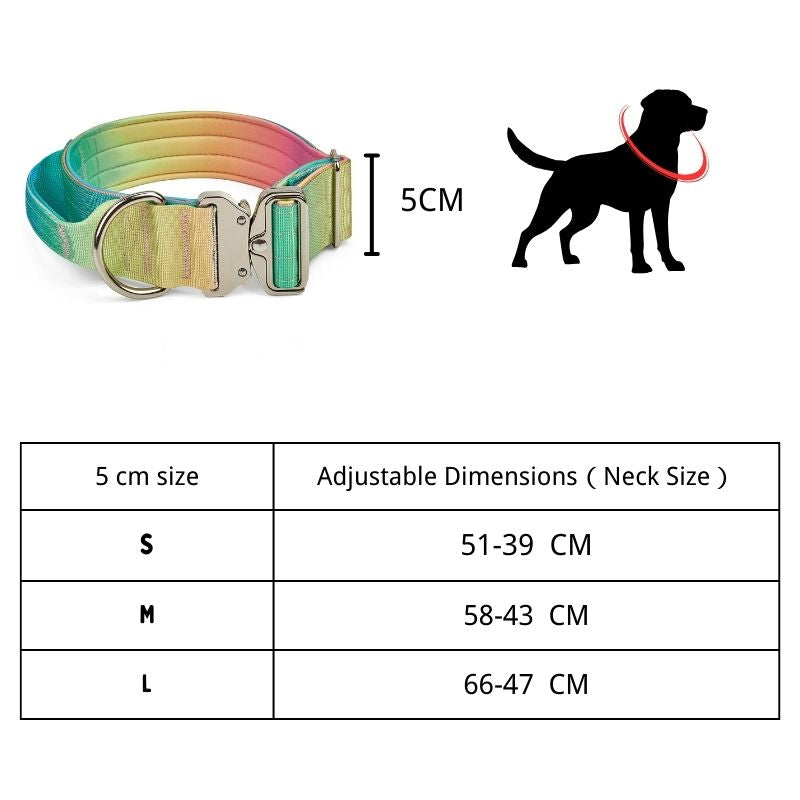 2pcs Premium Gradient Dog Collar Set – Stylish & High-Quality