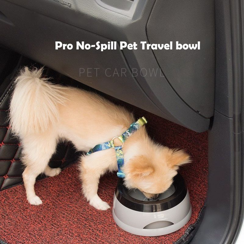 Pro No-Spill Pet Travel durable Bottle
