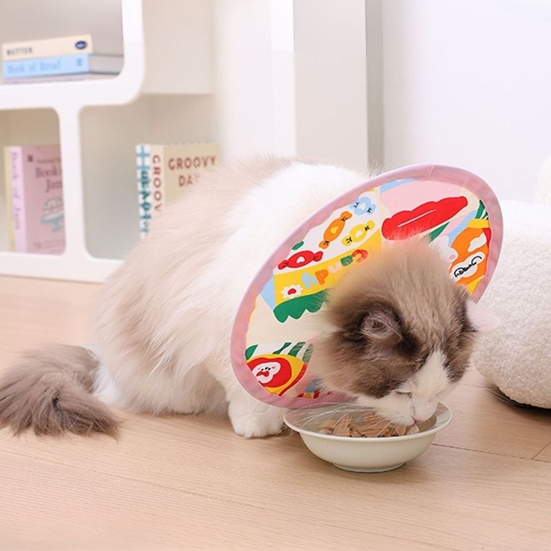 Soft Cat Recovery Cone (E-Collar) | Comfortable Elizabeth Collar for Post-Surgery