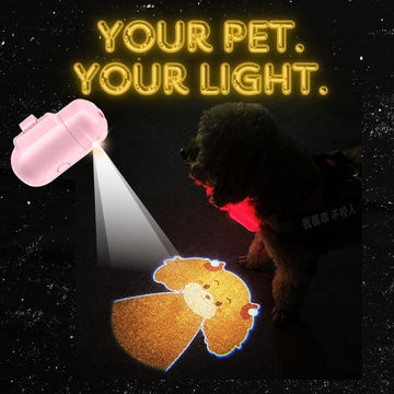 Pet Night Sky Projection Lamp – Create a Relaxing Atmosphere for Your Pets