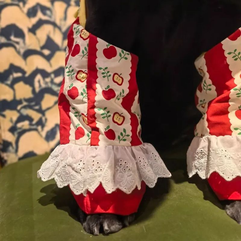 Dog Elbow & Knee Support Sleeve – Joint Protector for Post-Surgery Care & Mobility Support