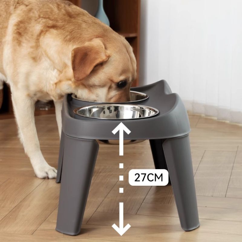 XL Raised Stainless Steel Dog Bowl Set