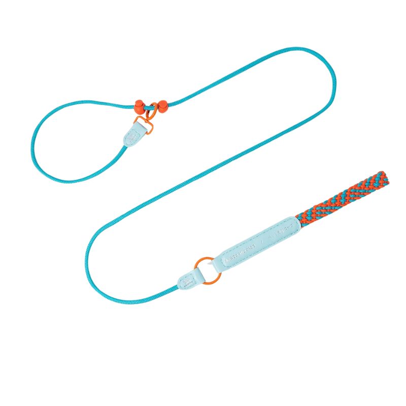 No-Choke Adjustable Dog P Leash – Anti-Pull Training Lead