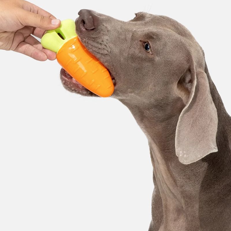 buy2get 1 free Vegetable-Shaped Chew Toy – Soft Rubber Squeaky Toy for Dogs