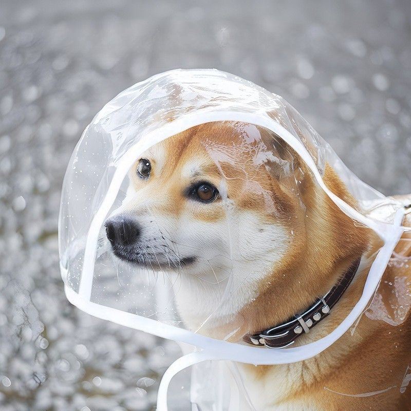 Transparent Waterproof Dog Raincoat – Lightweight Pet Rain Jacket, Multiple Sizes Available
