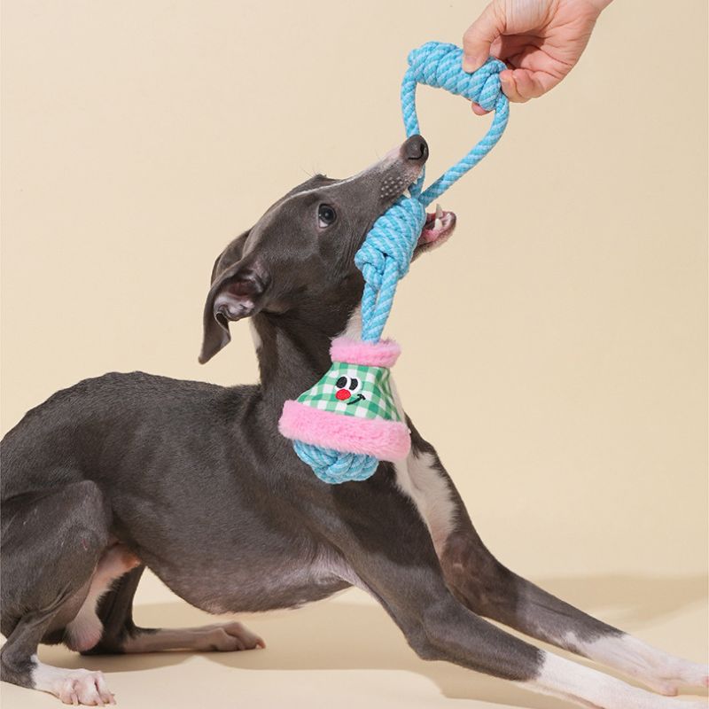 Macaron Rope Dog Toy | Eco-Friendly Cotton Tug & Chew | Dental Care & Interactive Play