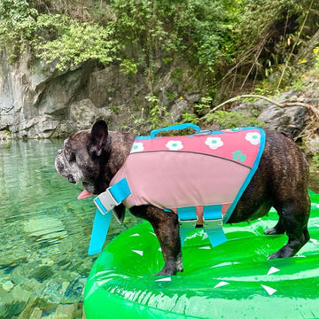 Dog Life Jacket – Safety Swim Vest with Rescue Handle, Adjustable Buckles, Multiple Sizes