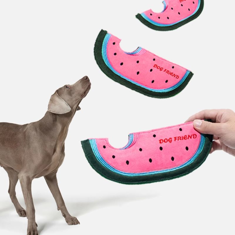 Squeaky Dog Flying Disc Toy – Durable Chewable Frisbee for Interactive Play and Training