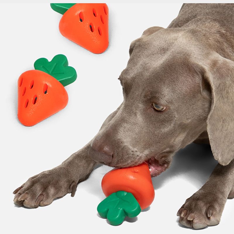 Strawberry Treat Dispensing Toy – Interactive Chew Toy for Dogs,  Anxiety Relief