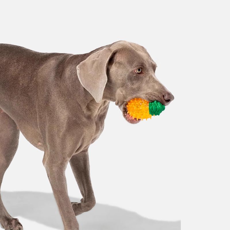 3-pack Fruit-Shaped Chew Toys – Squeaky, Dental-Friendly Soft Rubber