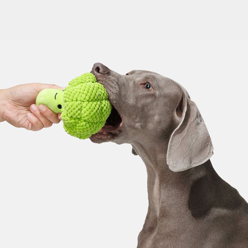 Soft Chew Squeaky Dog Toy – Gentle Sound