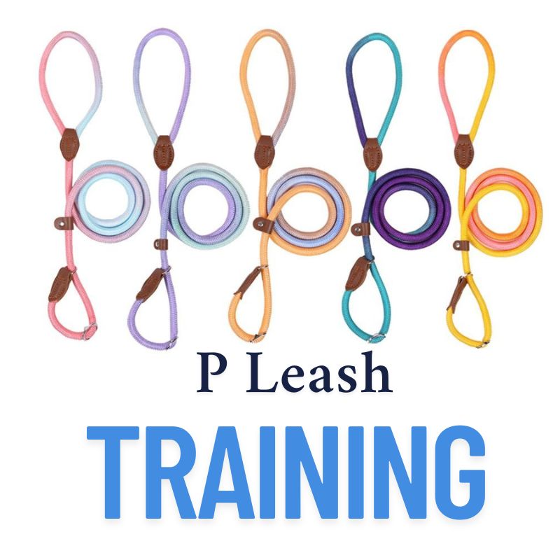 Adjustable P-Style Dog Leash – Slip Lead Rope for Training & Walking