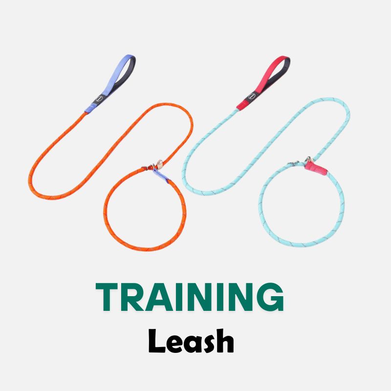 Professional P Dog Leash – Slip Lead for Dog Training(No Pull Design)