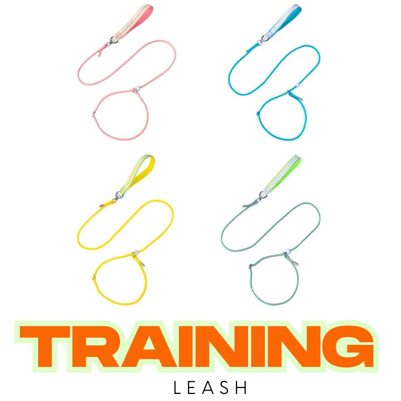 Anti-Choke Training P Leash for Dogs｜Slip-Style Lead