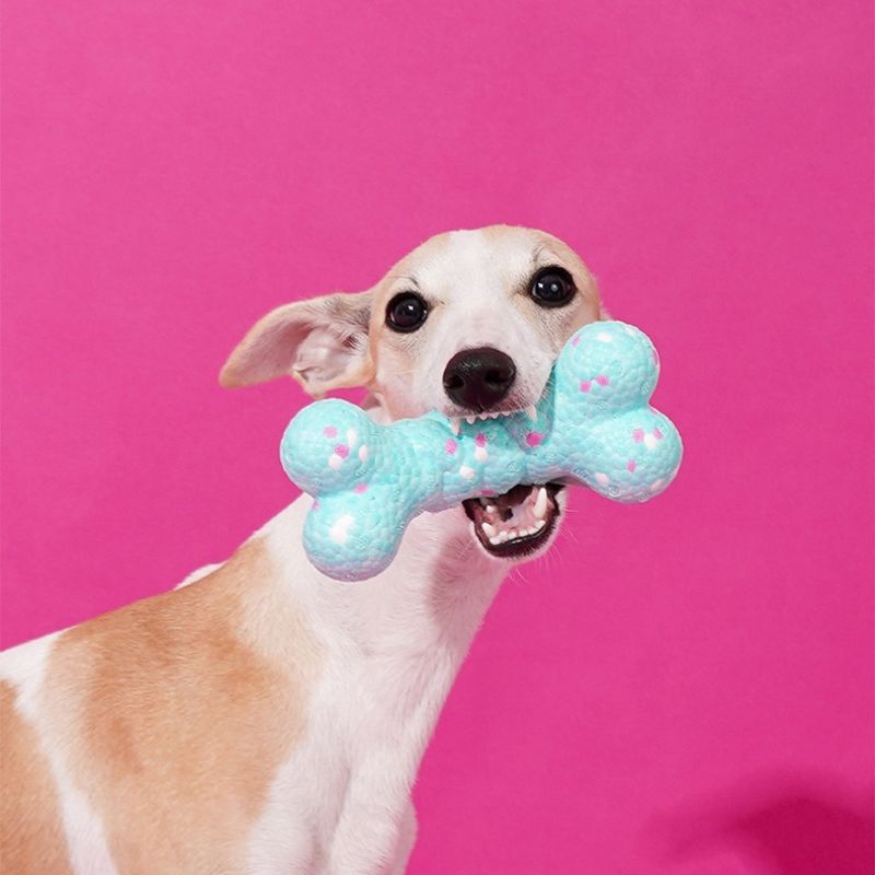 Durable Chew Ball Toy for Dogs