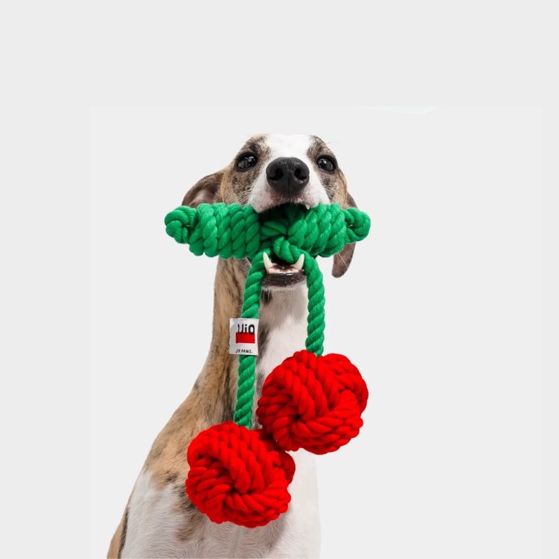 Cherry Rope Toy – Durable Knot Chew Toy for Dogs