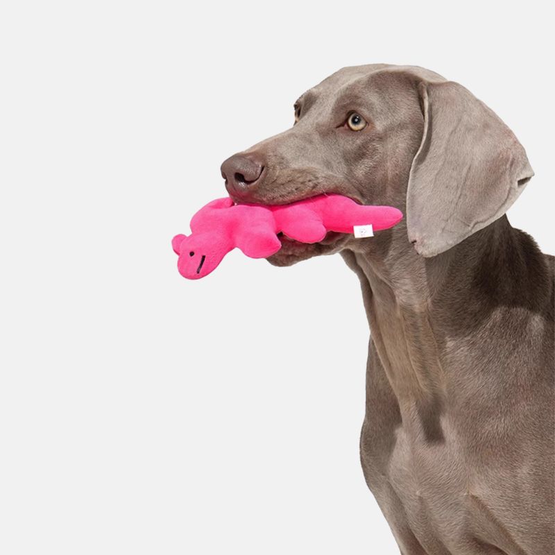 Soft Dinosaur Squeaky Toy – Chewable Plush Pet Toy for Small & Medium Dogs