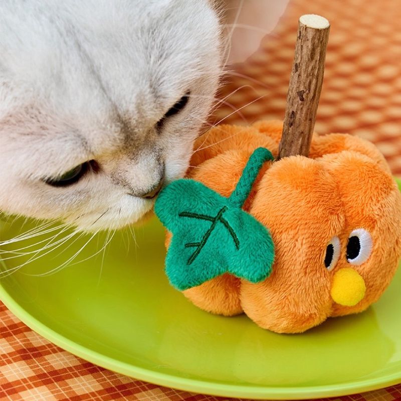 Natural Silvervine Cat Toy – Durable Chew & Scratch Stick for Cats