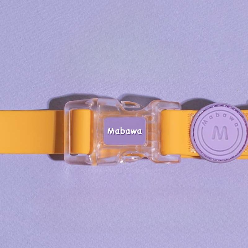 Waterproof Outdoor Dog Collar