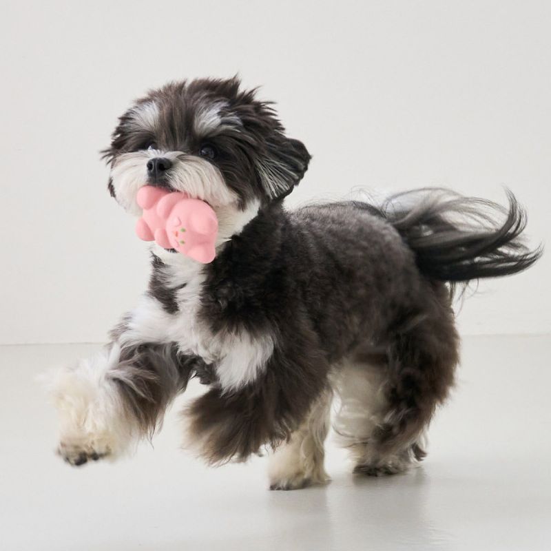 Soft Rubber Squeaky Chew Toy for Dogs – Durable Sound Toy for Teething and Boredom Relief