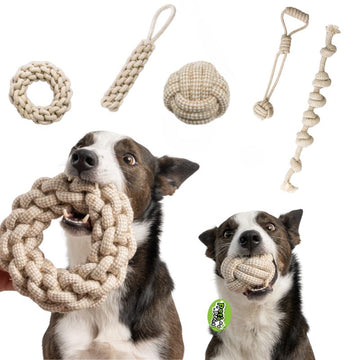5-Piece Heavy-Duty Cotton Rope Toy Set for Dogs