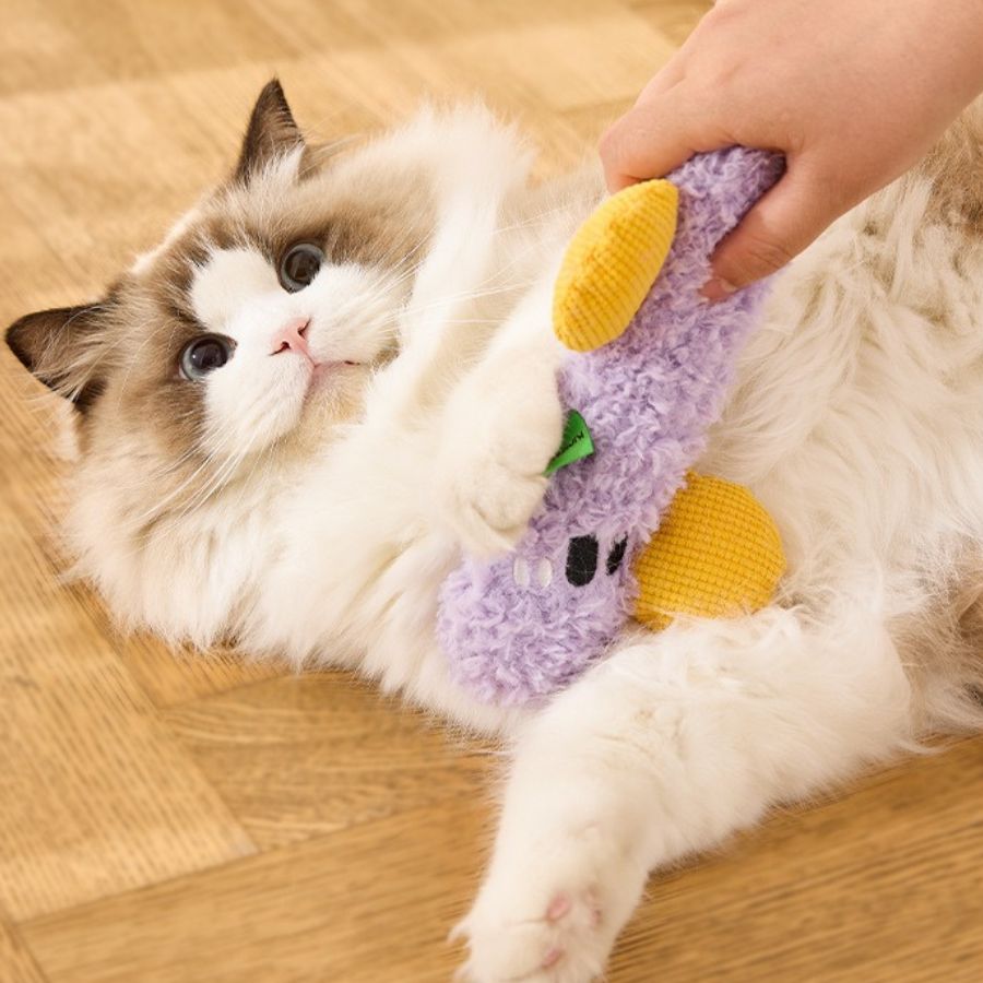 Catnip Toy for Cats – Natural Chew Toy for Stress Relief and Interactive Play